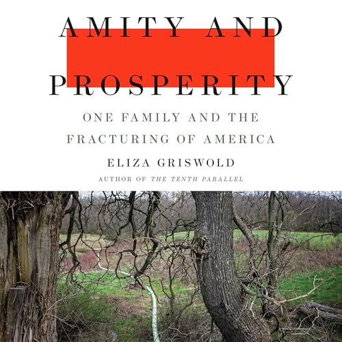 Cover of Amity and Prosperity