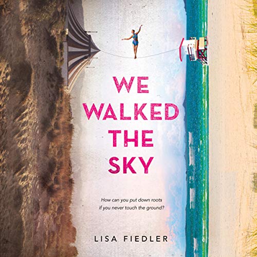 Cover of We Walked the Sky