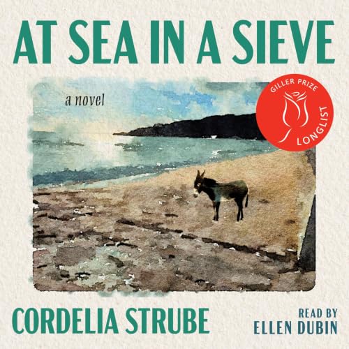 Cover of At Sea in a Sieve