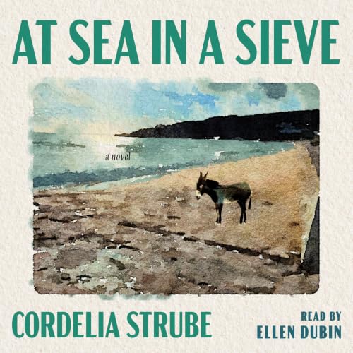 Cover of At Sea in a Sieve