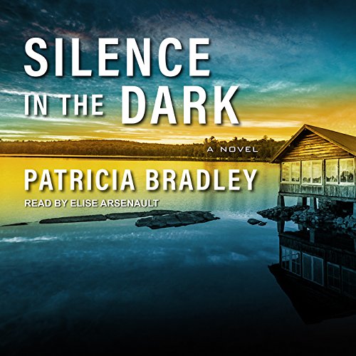 Cover of Silence in the Dark