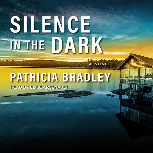 Cover of Silence in the Dark
