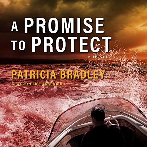 Cover of A Promise to Protect