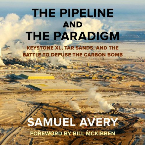 Cover of The Pipeline and the Paradigm
