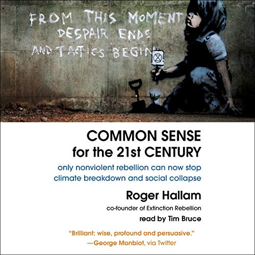 Cover of Common Sense for the 21st Century