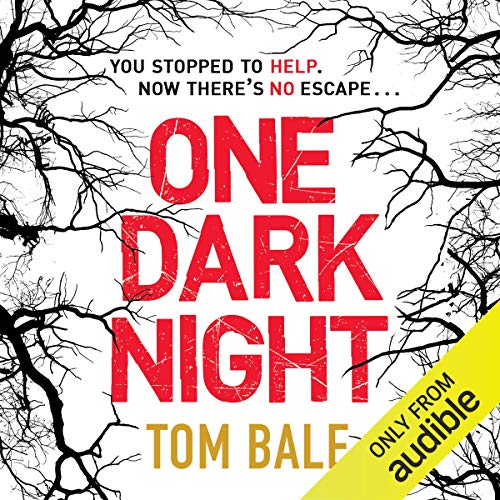 Cover of One Dark Night