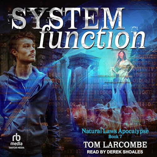 Cover of System Function