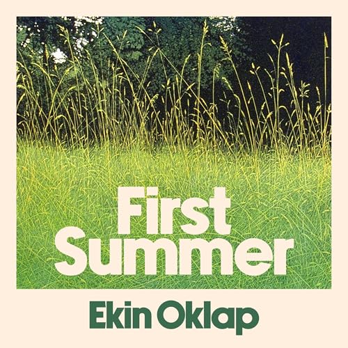 Cover of First Summer