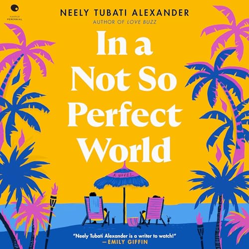 Cover of In a Not So Perfect World