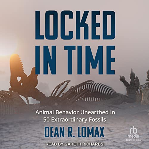 Cover of Locked in Time
