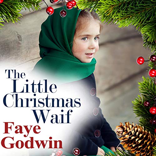 Cover of The Little Christmas Waif