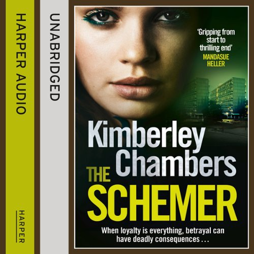 Cover of The Schemer