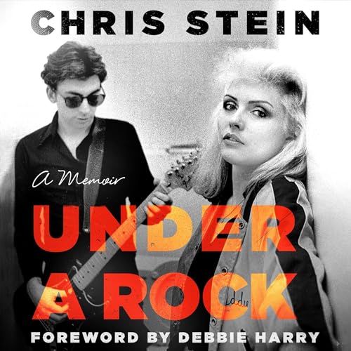 Cover of Under a Rock