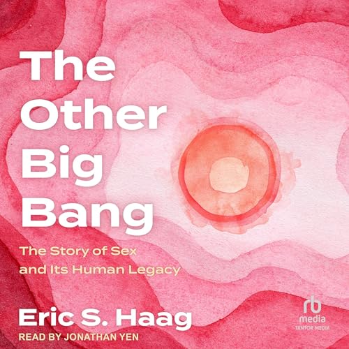 Cover of The Other Big Bang