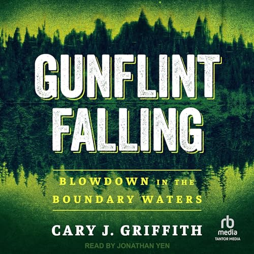 Cover of Gunflint Falling
