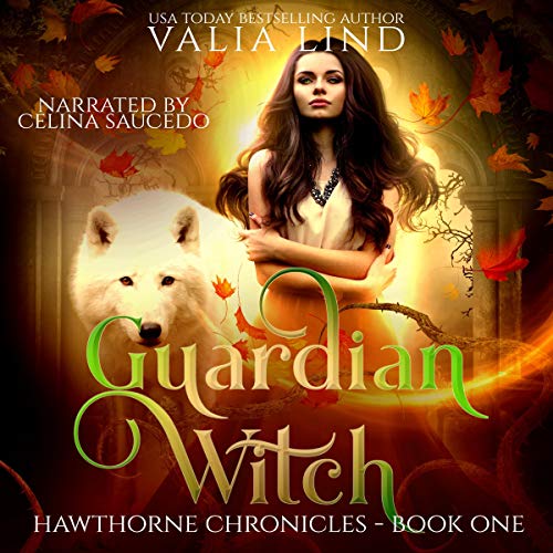 Cover of Guardian Witch