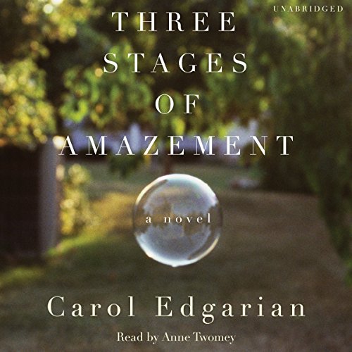 Cover of Three Stages of Amazement