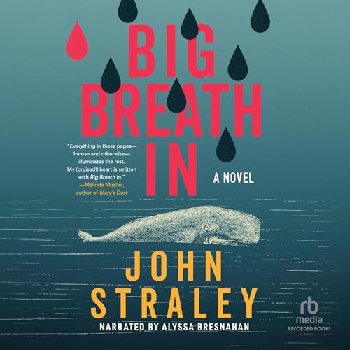 Cover of Big Breath In