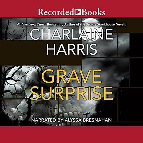 Cover of Grave Surprise