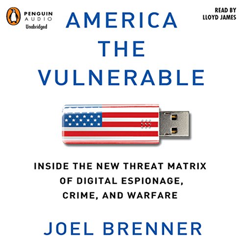 Cover of America the Vulnerable