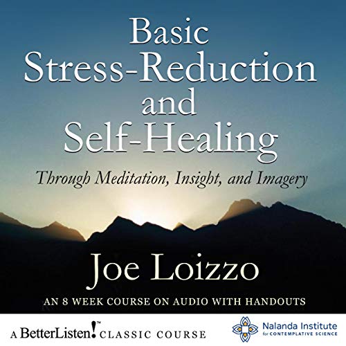 Cover of Basic Stress-Reduction and Self-Healing Through Meditation, Insight, and Imagery