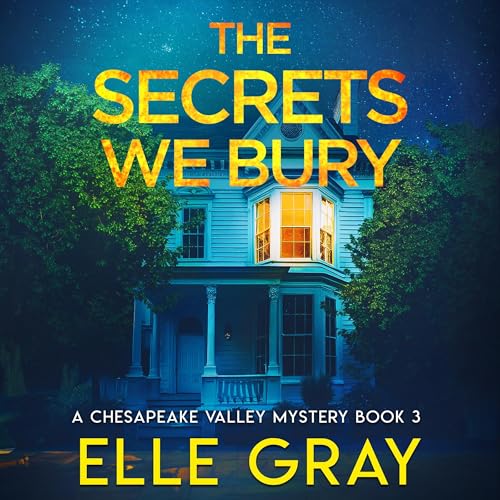Cover of The Secrets We Bury