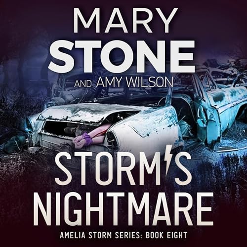 Cover of Storm's Nightmare