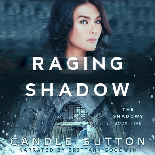 Cover of Raging Shadow