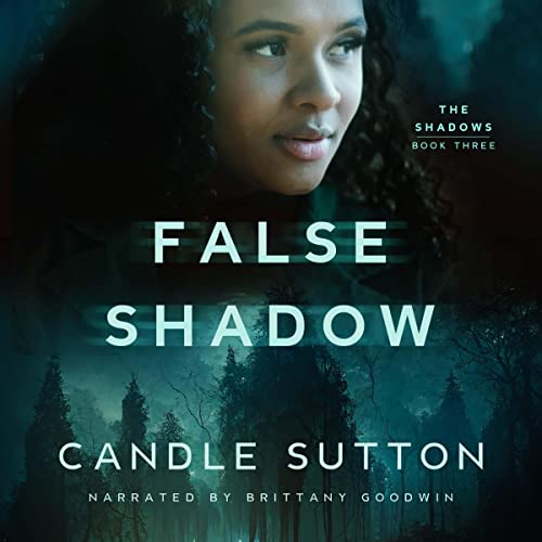 Cover of False Shadow