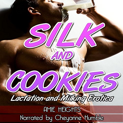 Cover of Silk and Cookies