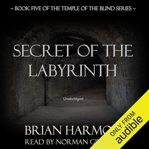 Cover of Secret of the Labyrinth