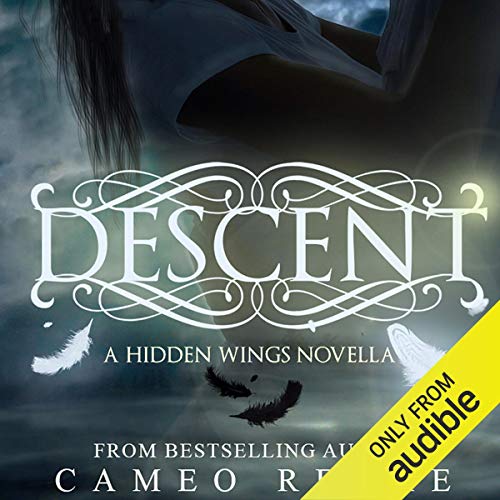 Cover of Descent