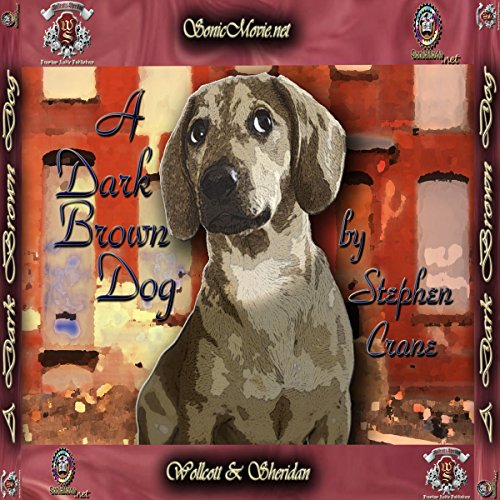 Cover of A Dark Brown Dog