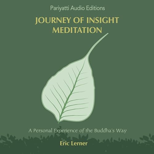 Cover of Journey of Insight Meditation