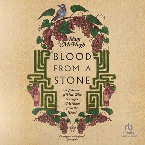 Cover of Blood from a Stone
