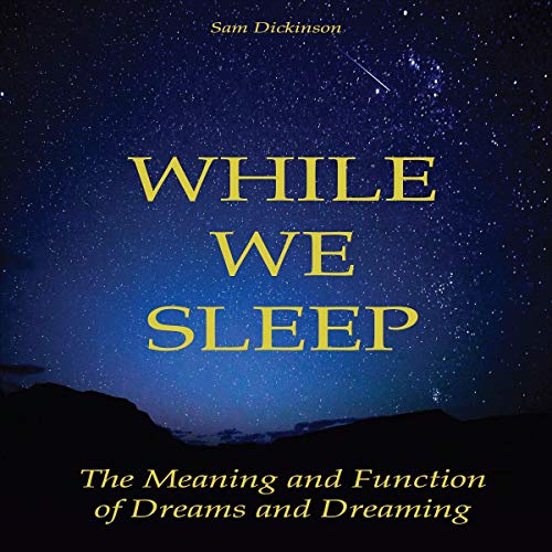 Cover of While We Sleep