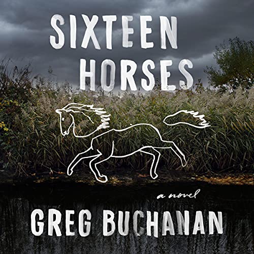 Cover of Sixteen Horses