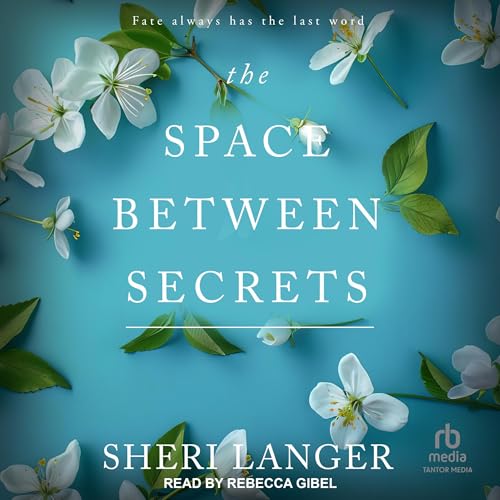 Cover of The Space Between Secrets