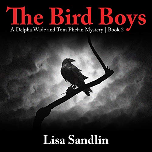 Cover of The Bird Boys