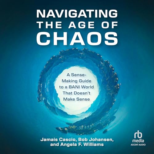 Cover of Navigating the Age of Chaos