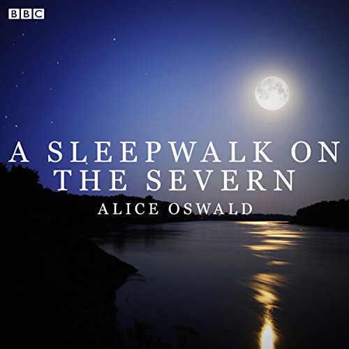 Cover of A Sleepwalk On The Severn