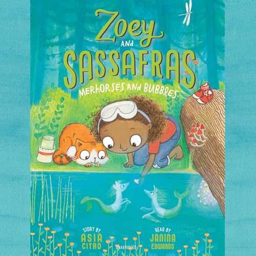 Cover of Merhorses and Bubbles