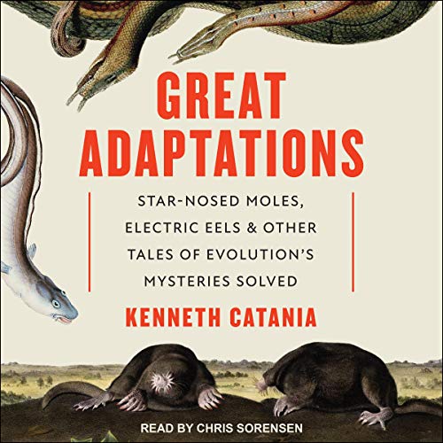 Cover of Great Adaptations