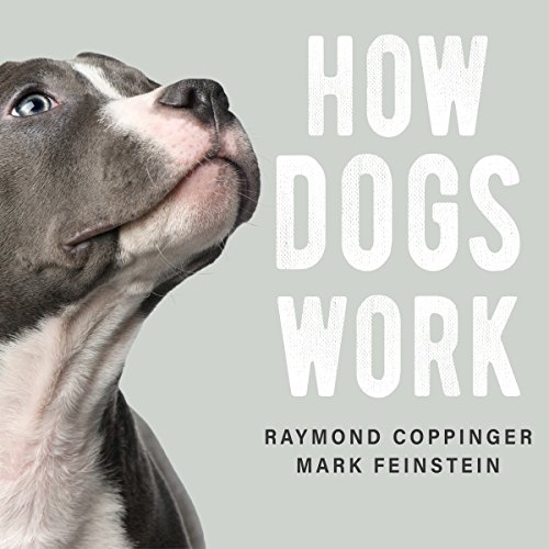Cover of How Dogs Work