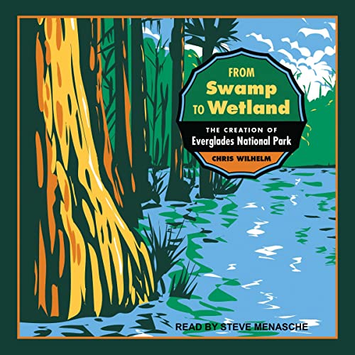 Cover of From Swamp to Wetland