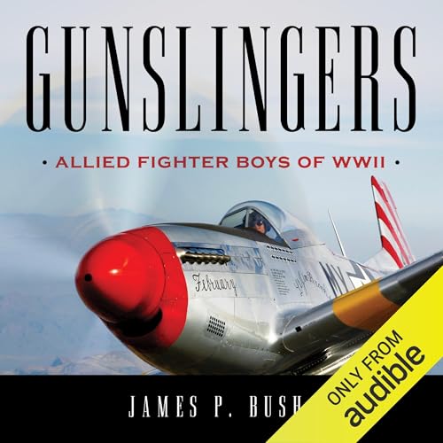 Cover of Gunslingers