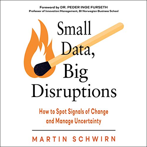 Cover of Small Data, Big Disruptions