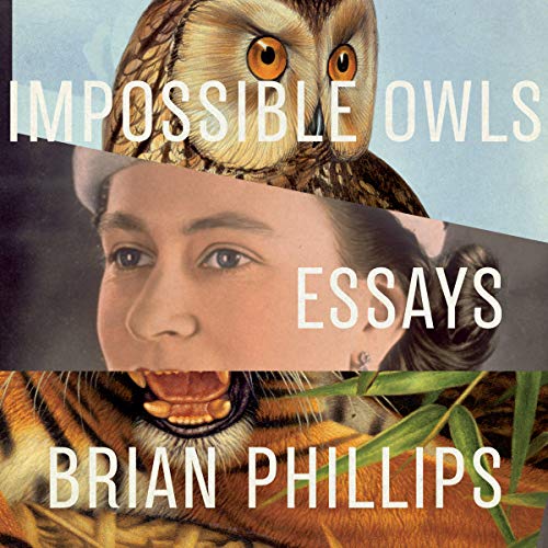 Cover of Impossible Owls