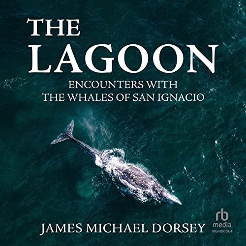 Cover of The Lagoon