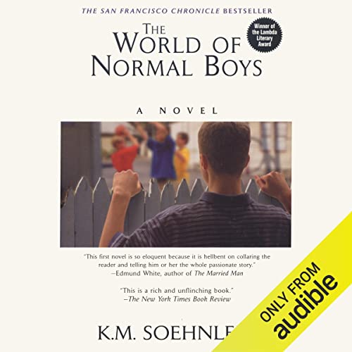 Cover of The World of Normal Boys